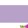 Cartes simples recycl�es 82x128 couleur Forever 210g, lot 25