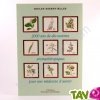 Livre 2000 ans de d�couvertes aromath�rapiques pour une m�decine d'avenir