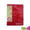 Cahier recycl� Grand carreaux 17x22cm 96p Rouge Forever
