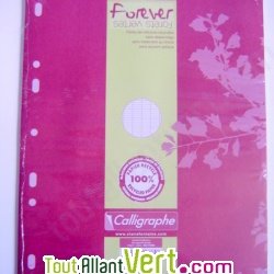 Feuillets mobiles recycl�es A4 - Lot de 100 - Grand carreaux 70g Forever