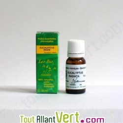 Huile essentielle Eucalyptus radiata Bio HECT 10ml