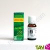 Huile essentielle Fenouil Bio HECT 10ml