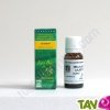 Huile essentielle Cajeput Bio HECT 10ml