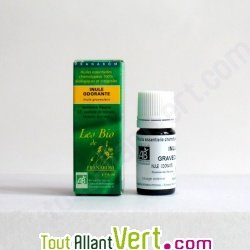 Huile essentielle Inule odorante sauvage Bio HECT 5ml