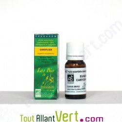 Huile essentielle Clou de Girofle Bio HECT 10ml