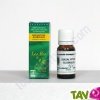 Huile essentielle Eucalyptus globuleux Bio HECT 10ml