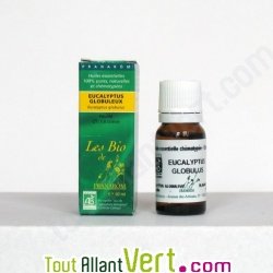 Huile essentielle Eucalyptus globuleux Bio HECT 10ml
