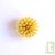 Recharge pour la brosse vaisselle en bois et fibres d'agave