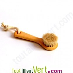 Brosse visage, bois de h�tre et crin de cheval, 13 cm