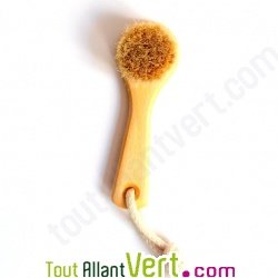 Brosse visage, bois de h�tre et crin de cheval, 13 cm