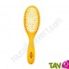 Brosse cheveux ovale plate en bois, picots en bois