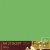 Papier couleur recycl�e A4 Forever Vert Mousse 160g