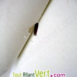 Agrafeuse sans agrafes bleue en bioplastique