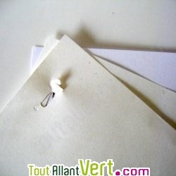 Agrafeuse sans agrafes bleue en bioplastique