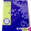 Cahier recycl� Grand carreaux  17x22cm 96p Violet Forever For�ts Vertes