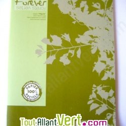 Cahier recycl� Petits carreaux A4 96p Vert Forever For�ts Vertes