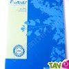 Cahier recycl� Grands Carreaux A4 96p Bleu Forever For�ts Vertes