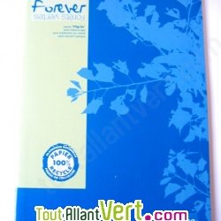 Cahier recycl� Grands Carreaux A4 96p Bleu Forever For�ts Vertes