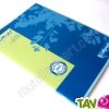 Cahier recycl� Grands Carreaux A4 96p Bleu Forever For�ts Vertes