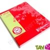 Cahier recycl� Grand carreaux Seyes 96p Forever For�ts Vertes 70g