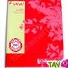 Cahier recycl� Grand carreaux Seyes 96p Forever For�ts Vertes 70g