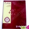 Cahier recycl� Petits carreaux 5x5 96p Forever For�ts Vertes 70g