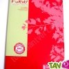Cahier recycl� Grands Carreaux A4 96p Rouge Forever For�ts Vertes