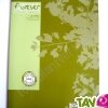 Cahier recycl� Grand carreaux 24x32cm 96p Vert Forever For�ts Vertes