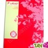 Cahier recycl� petits carreaux 24x32cm 96p Rouge Forever For�ts Vertes