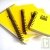 Bloc spirale uni recycl� A4 80g 320 pages Jaune s�rie ZapBook