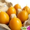 Boite de 6 bougies oeufs en cire