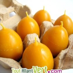 Boite de 6 bougies oeufs en cire