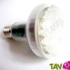 Lampe R�flecteur Plein Spectre 15W eq. 80W embase E27 lumi�re blanche