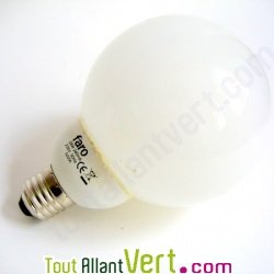 Ampoule Globe Lumi�re du jour 5000K