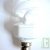 Ampoule H�lice Plein spectre 15W eq. 75W ba�onnette B22 900 lm