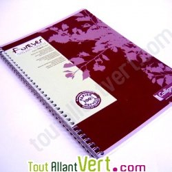 Cahier � spirale recycl� petits carreaux A4 96p Marron Forever For�ts Vertes