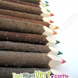 Crayon couleur en �corce, lot 12 en bois