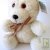 Ours assis 22 cm