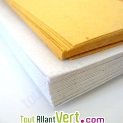 Enveloppes recycl�es rustiques 9x14cm + cartes de visite 250g x20