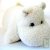Peluche Grand Hippopotame oreiller 43x42