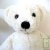 Nounours �cru 30 cm coton biologique