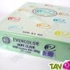 Papier A4 Evercolor 80g/m2 Couleur Vert Clair, 500 feuilles
