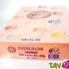 Papier A4 Evercolor 80g/m2 Couleur Saumon, 500 feuilles
