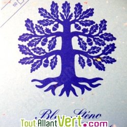 Bloc st�no recycl� 50 feuilles A5 bleu