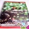 Cahier � spirale A4 recycl� Greenpeace