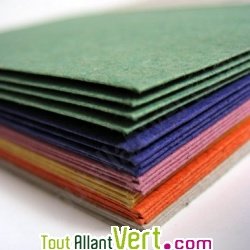 Enveloppes en papier recycl� multicouleurs, 110x220 lot de 22