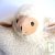 Agneau marionnette 100% laine 20cm