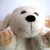 Chien marionnette 100% laine 20cm