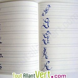 Cahier de calligraphie: exercices d\'apprentissage 100% recycl�