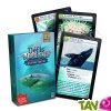 Jeu de cartes "D�fis Nature" : Les animaux marins